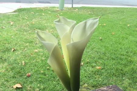 Christine's Floral Designs