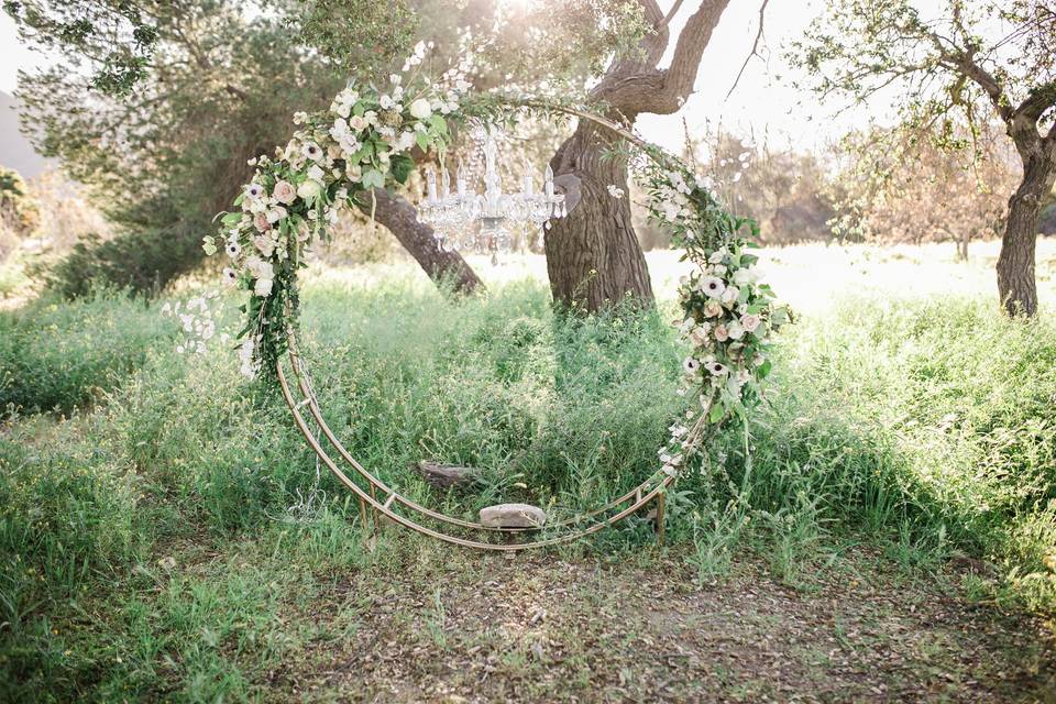 Oak Tree Wedding Rentals