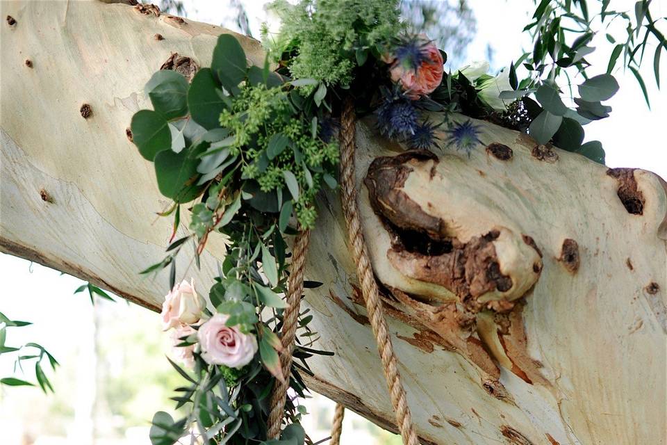 Oak Tree Wedding Rentals