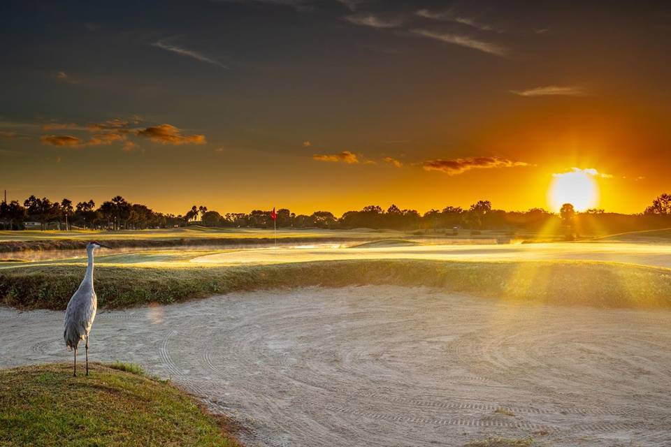 Remington Golf Club