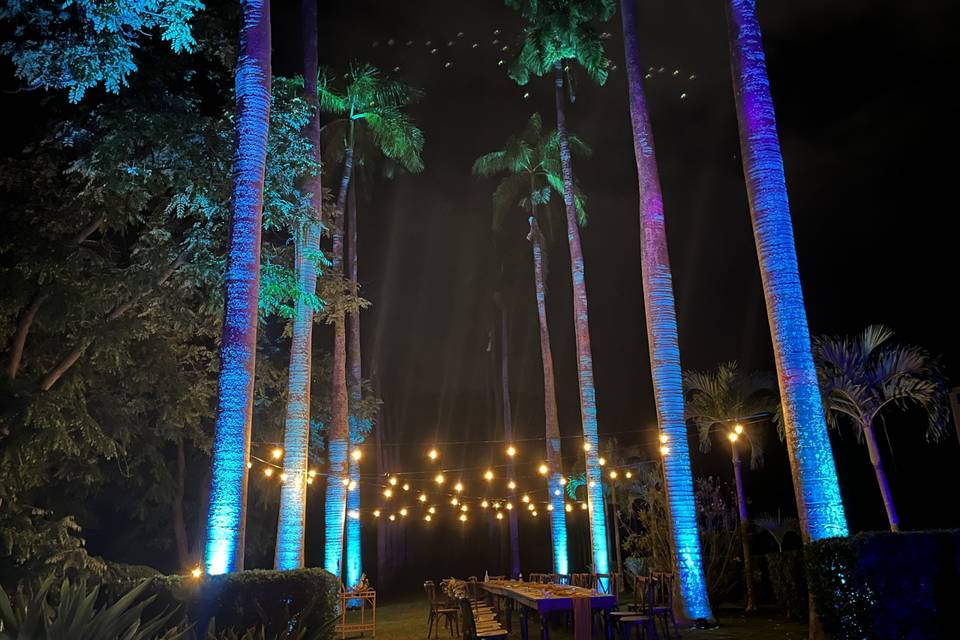 Light up the trees