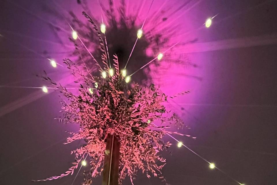 Bright Pink in the Tent