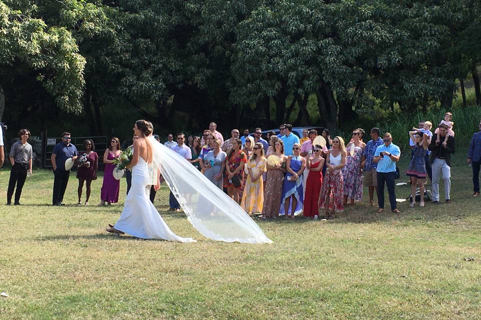 Bride's Procession