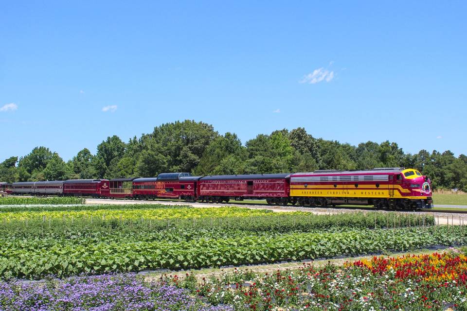 Aberdeen train