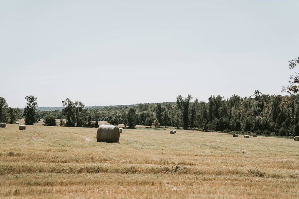 The Southern Barn at Neely Farms