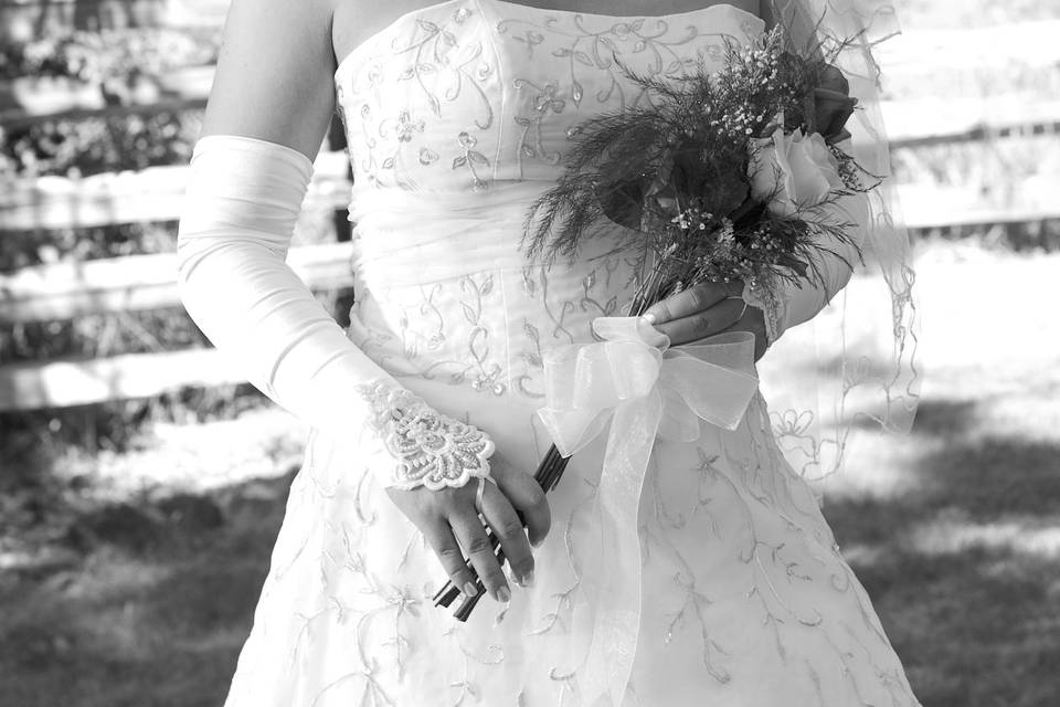 Elegant bride