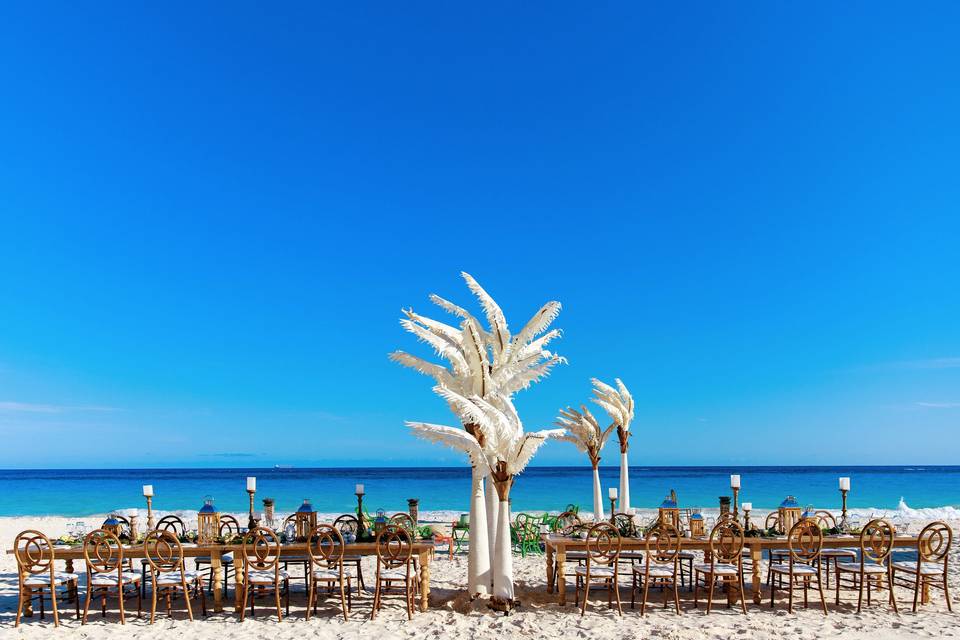 Dinner on the Beach