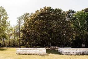 The grand magnolia