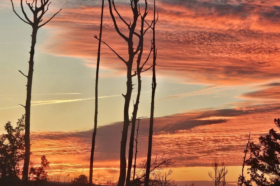 Amazing sunsets