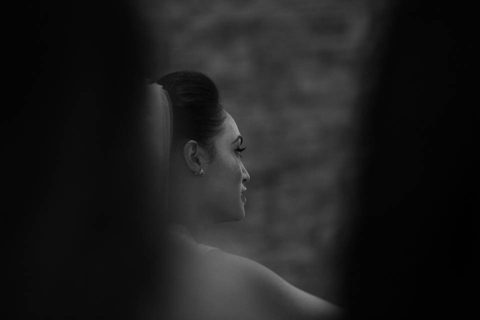 Brad Horn Photography
