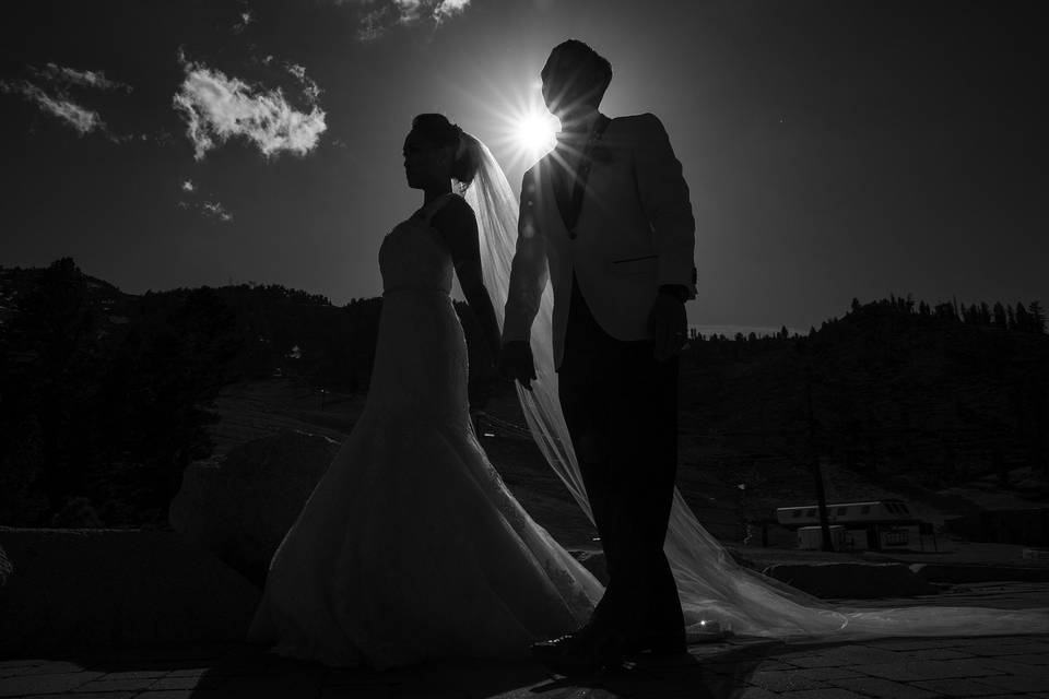 Brad Horn Photography