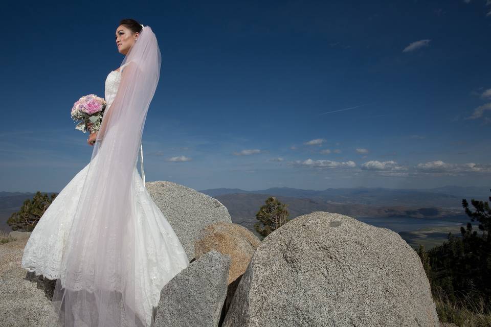 Brad Horn Photography