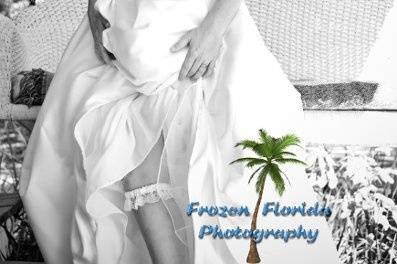 Frozen Florida Photography