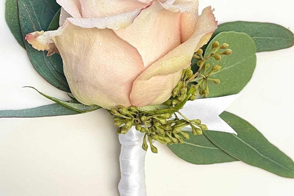 Boutonniere blush rose