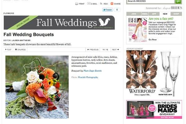 So excited to share my Bouquet pictures are featured on BRIDES.com
Flowers by Plum Sage
LINK:
http://www.brides.com/wedding-ideas/wedding-flowers/2011/09/fall-wedding-centerpieces-fall-bouquets#slide=14