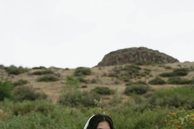 Bridal Portraits