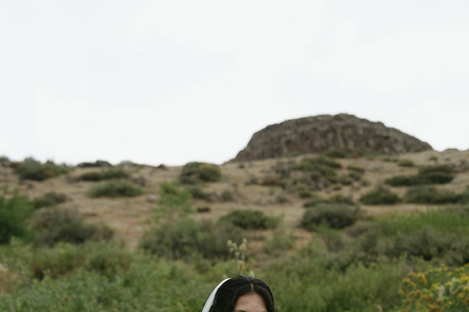 Bridal Portraits