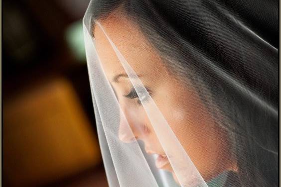 Bride looking sideways through veil, Indianapolis, Indiana.
