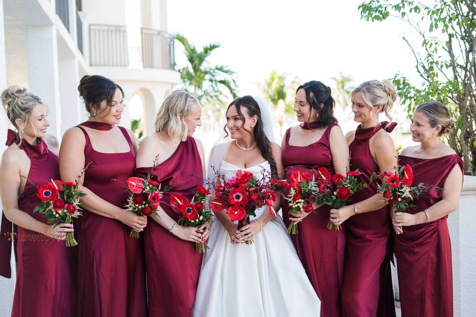 Erica Braley Photography