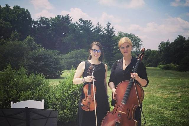 Wedding violin and cello.