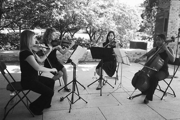 Wedding string quartet