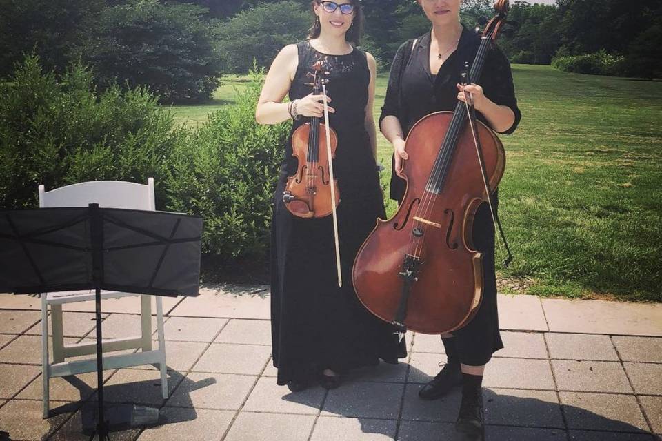 Wedding violin and cello.