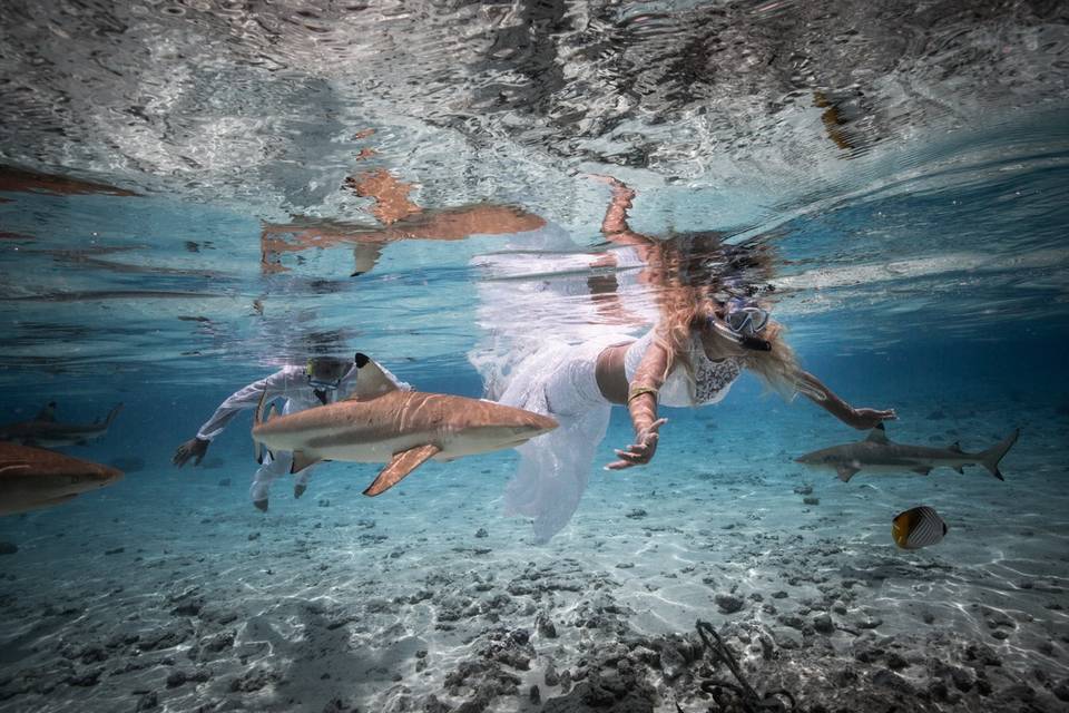 Underwater Photo Session