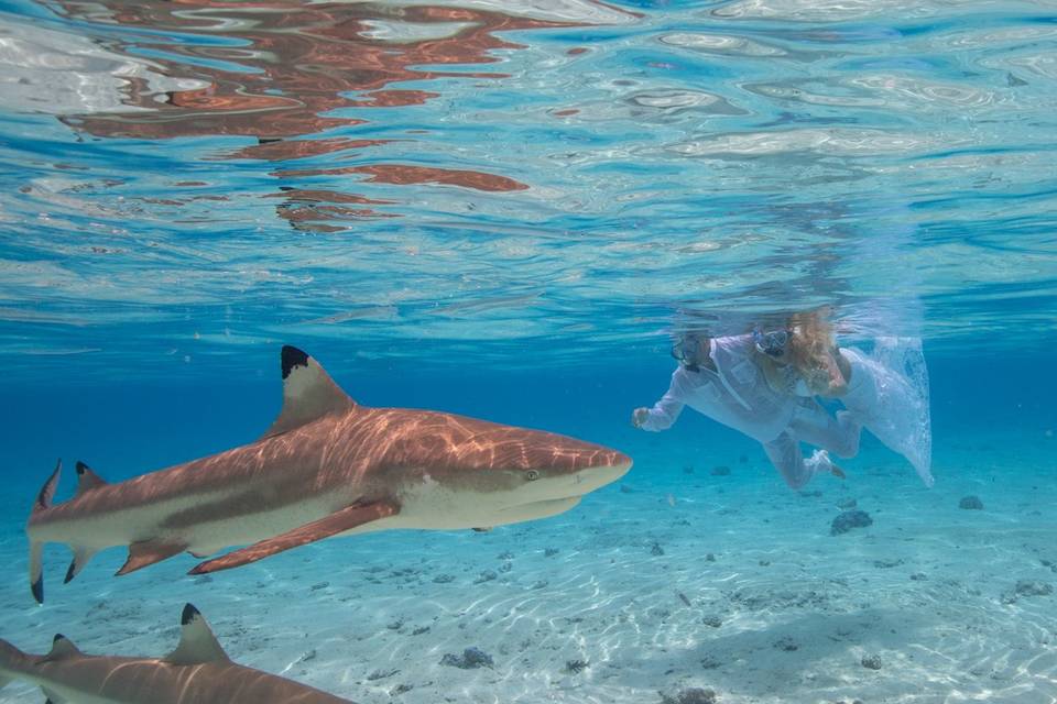 Underwater Photo Session