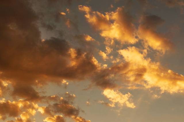 Susan Sancomb Photography