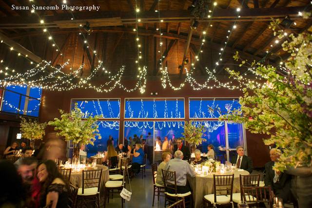 Susan Sancomb Photography