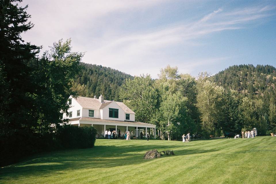 Overview of Meadow