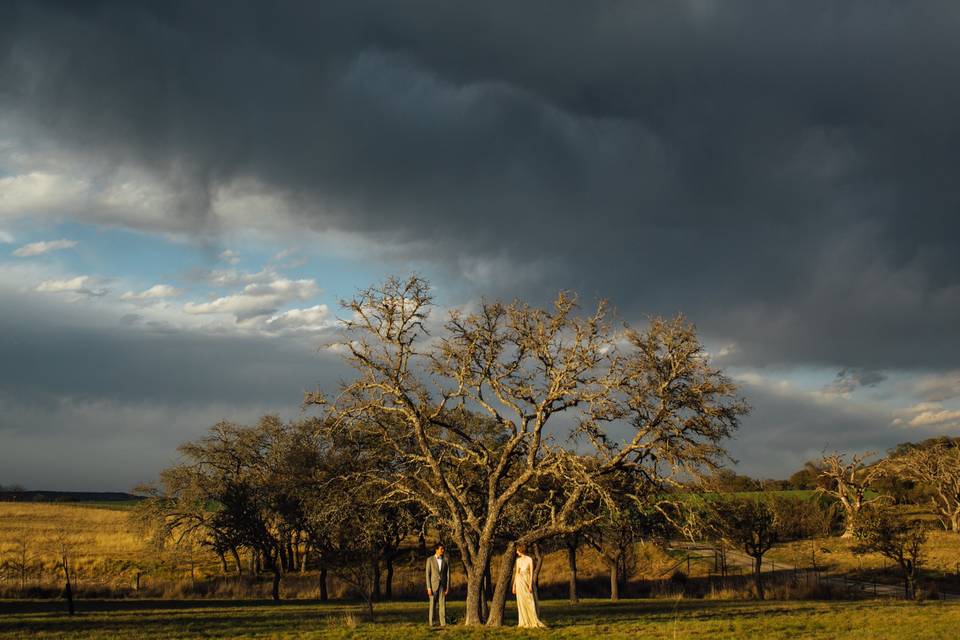 Couple posing beside a tree