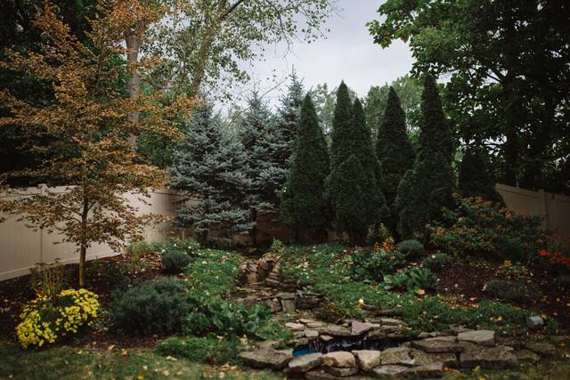 Holland Gardens