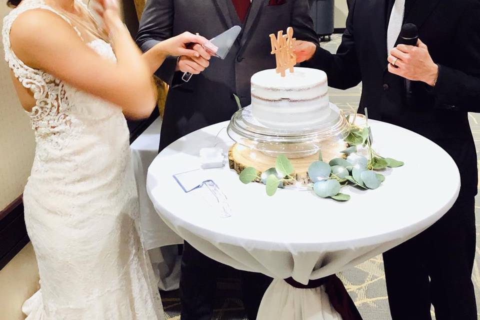 Wedding Cake Cutting FUN!