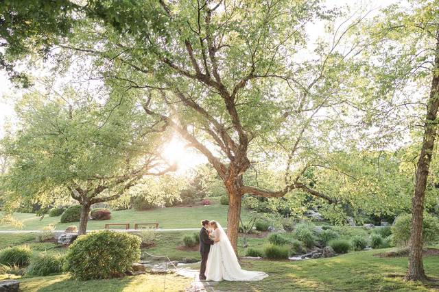 Shalyn O'Neal Photography