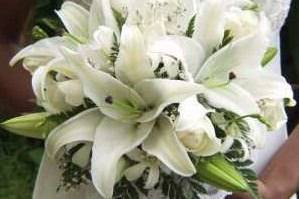 White lilies, statice, and greens