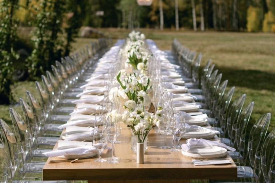 Victoria Ghost Chairs