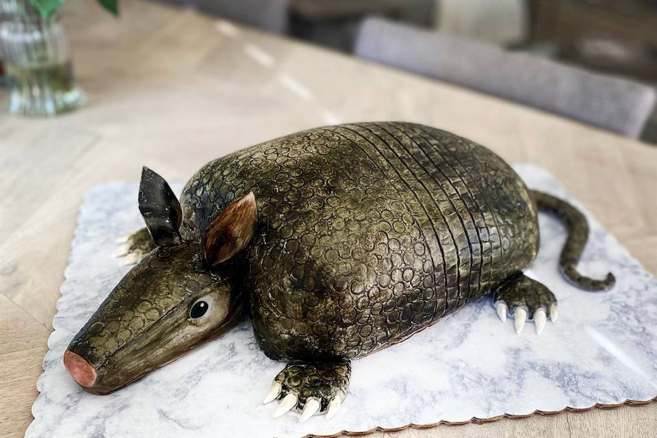 Armadillo Cake