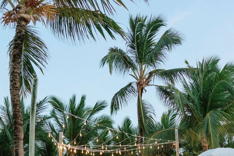Romantic Poolside Reception