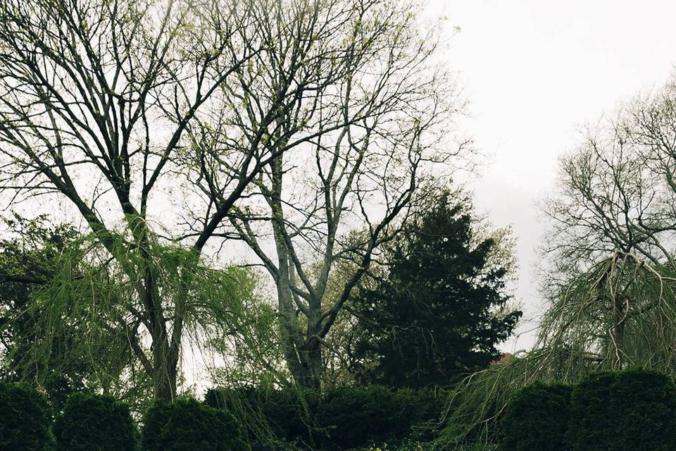 Cheekwood