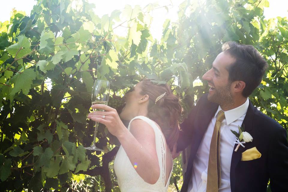 Wedding on the vineyard