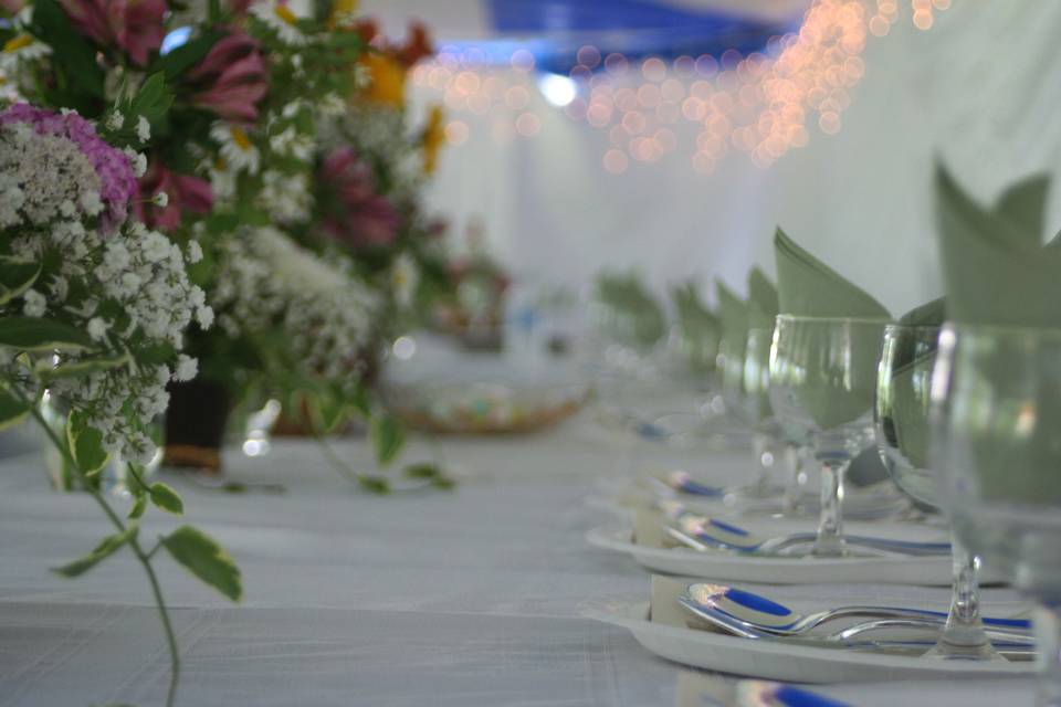 Long table setting