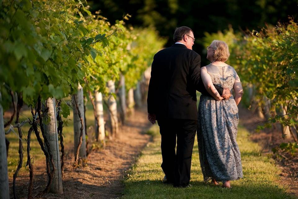 Walking through the vineyard