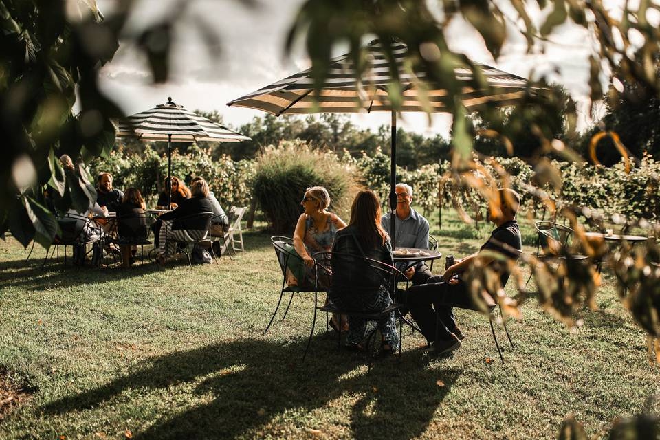 Cocktails in the garden area