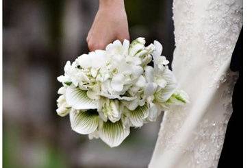 Ana's Floral Garden LLC