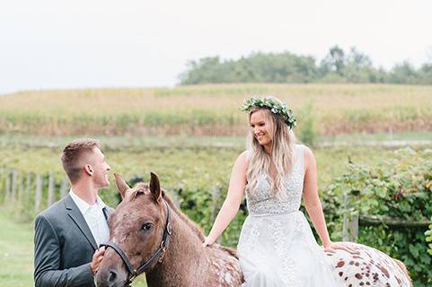 Horse engagement