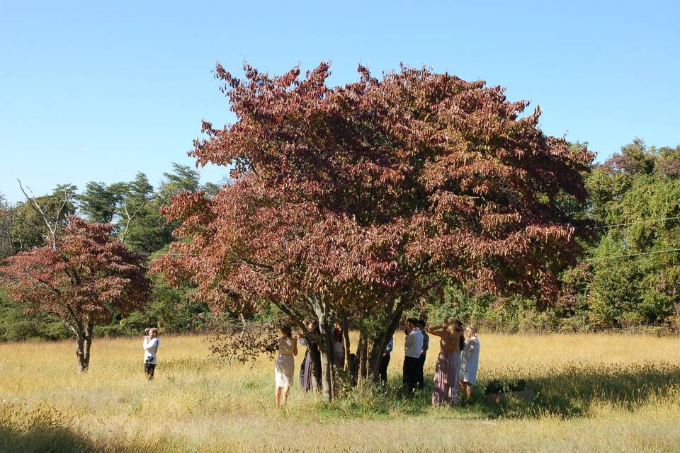 Wedding shoot in the middle of a field