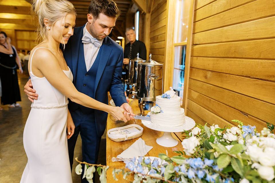 Cake Cutting