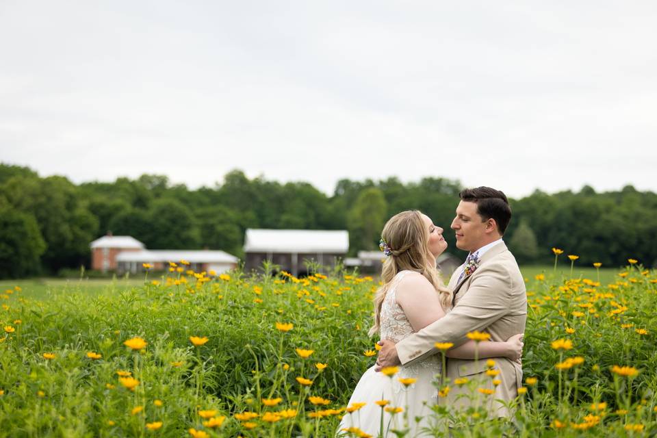 Flower field