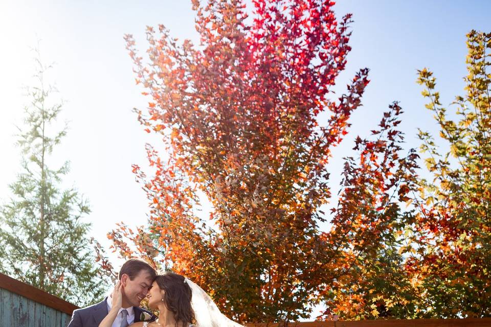 Fall Perfection